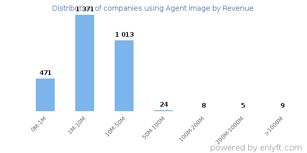 Agent Image clients - distribution by company revenue