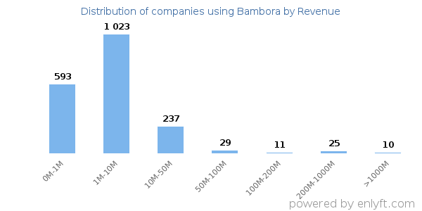 Bambora clients - distribution by company revenue