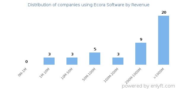 Ecora Software clients - distribution by company revenue