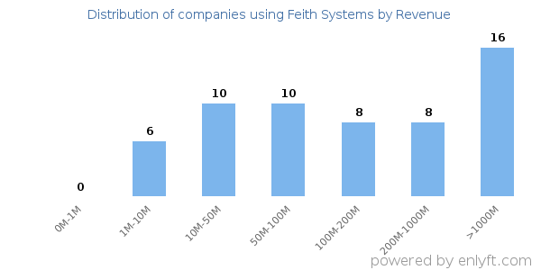 Feith Systems clients - distribution by company revenue