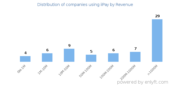 iiPay clients - distribution by company revenue