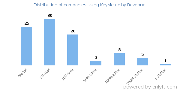 KeyMetric clients - distribution by company revenue