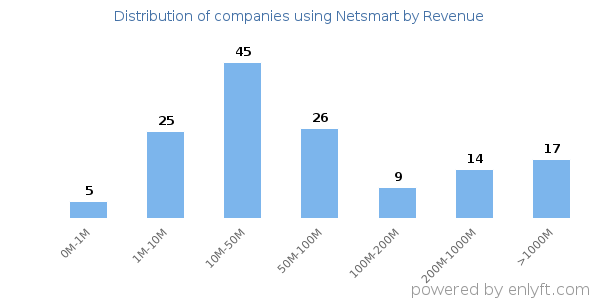 Netsmart clients - distribution by company revenue