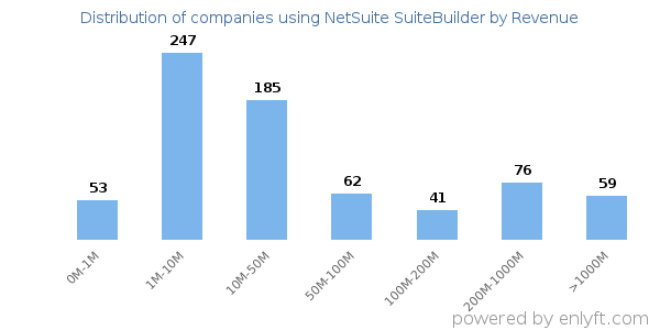 NetSuite SuiteBuilder clients - distribution by company revenue
