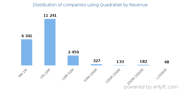 QuadraNet clients - distribution by company revenue
