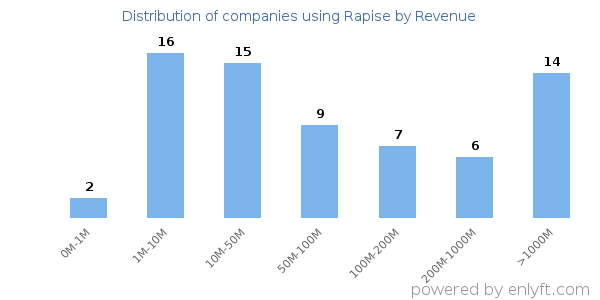 Rapise clients - distribution by company revenue