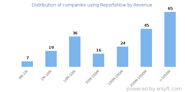 ReportsNow clients - distribution by company revenue