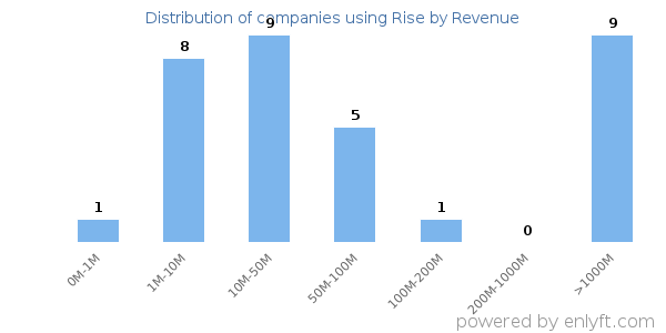 Rise clients - distribution by company revenue
