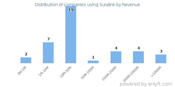 Suralink clients - distribution by company revenue