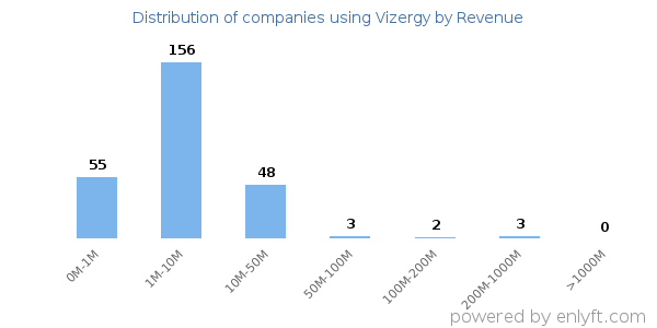Vizergy clients - distribution by company revenue
